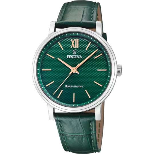 Мужские часы Festina F20660/5 - фото 1