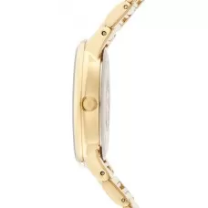 Женские часы Anne Klein Plastic 1412IVGB