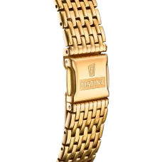 Мужские часы Festina Swiss made F20020/2