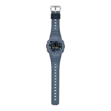 Мужские часы Casio DW-5600CA-2