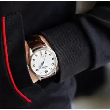 Мужские часы Festina Acero classico F20426/1