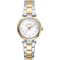 Женские часы DKNY Essential Mini DK1L043M0075