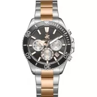 Мужские часы Beverly Hills Polo Club BP3721X.560