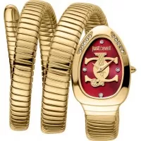 Женские часы Just Cavalli Just Glam Evo 5 JC1L228M0045