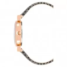 Женские часы Anne Klein 2246RGSN